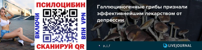 Галлюциногенные грибы GOLDEN TEACHER  Купить  Унеча 